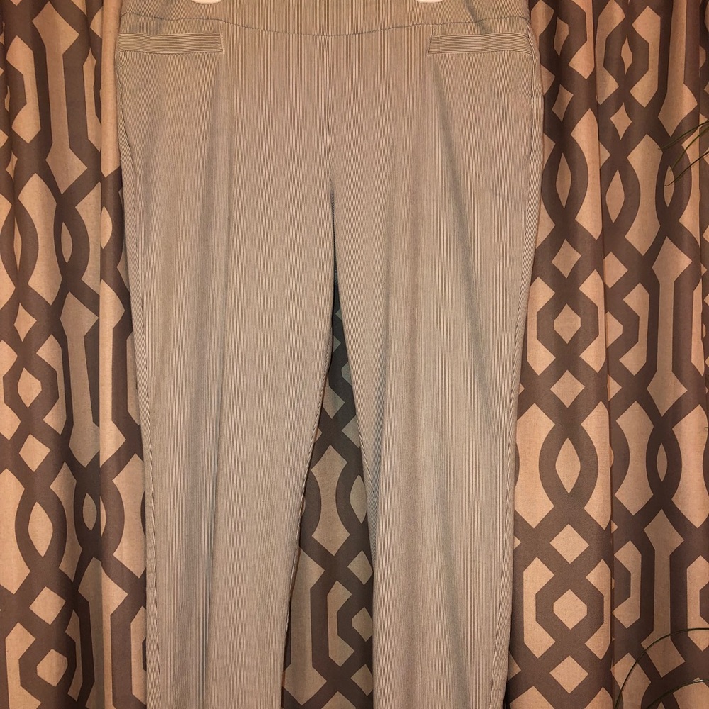 Kim Rogers Ankle Pants